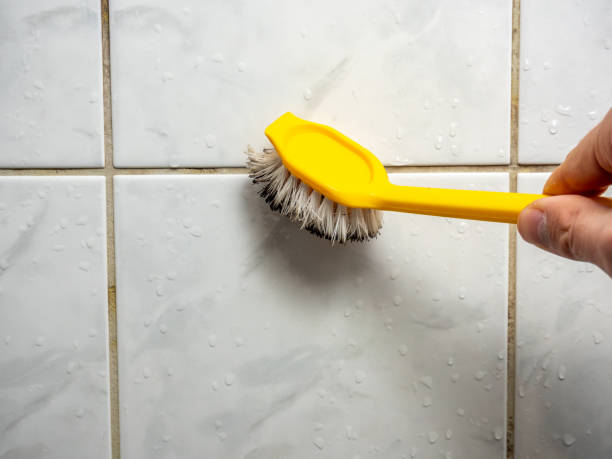 Best Attic Mold Removal  in Pleasant Grove, OH